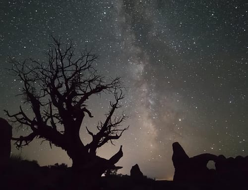 A tall rock formation and a tree appear under a star-filled night sky with the Milky Way at Arches National Park in Moab, Utah.