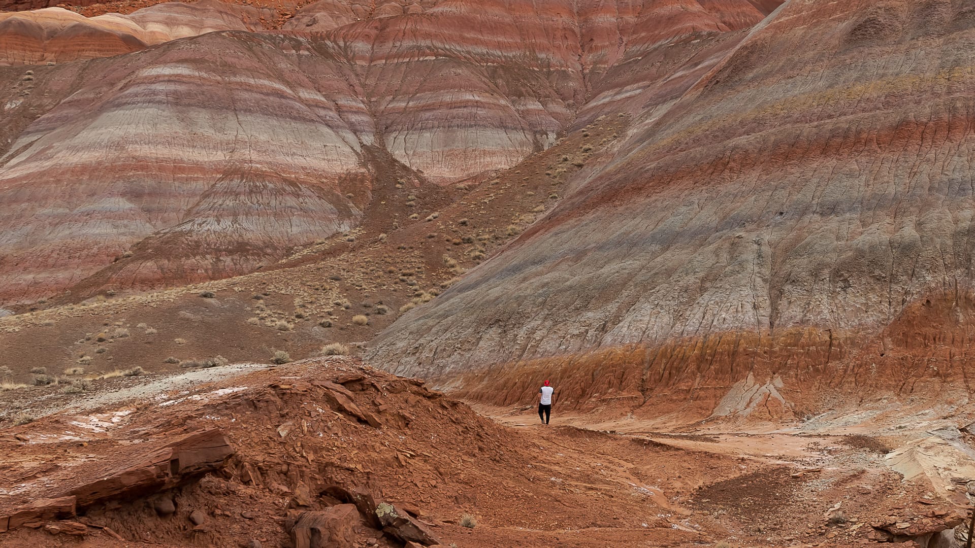 A hiker stands on an outdoor hiking trail and looks up at a rainbow-colored striped mountain in the Paria Canyon - Vermilion Cliffs Wilderness Area in Marble Canyon, Arizona