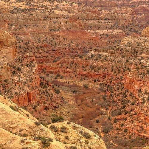 A trail meanders around orange cliffs and buttes in Grand Staircase-Escalante National Monument in Utah.